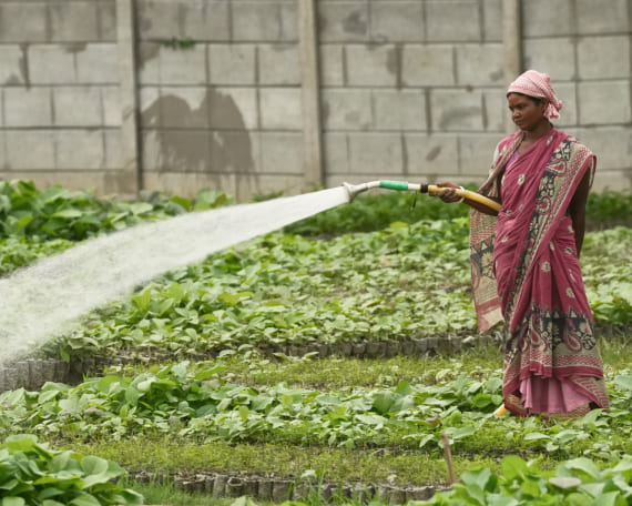 Give for Environment