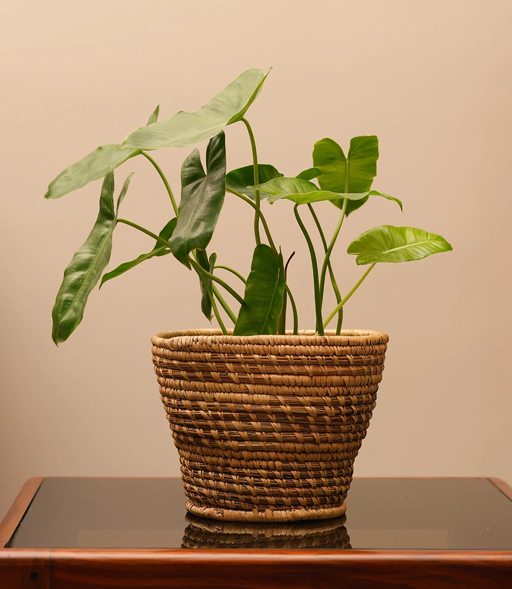 Natural woven planter